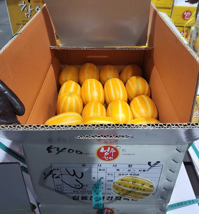2월26일 경북 성주에서 서울 가락시장으로 출하한 참외. 산지나 브랜드명 등이 적힌 스티커가 부착되지 않았다.
