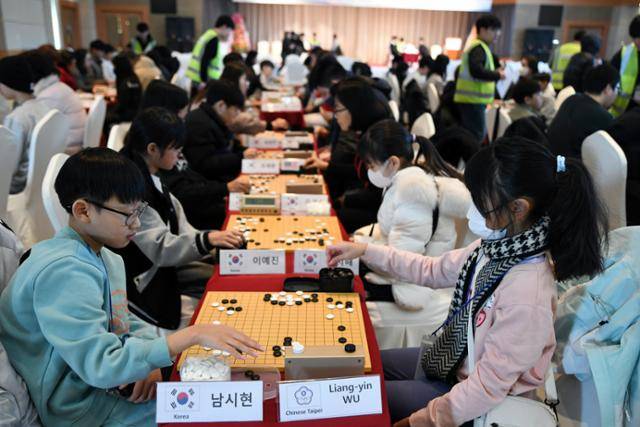 지난달 15~19일 강원 태백시 오투리조트에서 국내 최초의 바둑 콩그레스로 열렸던 ‘제1회 태백시 세계 바둑 콩그레스’에서 참가자들이 대국을 벌이고 있다. 한국기원 제공