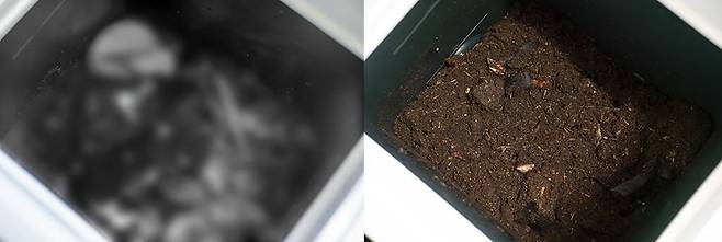 음식물 투입 후 24시간이 경과한 상태, 일부러 크고 분해가 어려운 재료를 넣었으나 약간의 흔적만 남고 거진 분해됐다 / 출처=IT동아