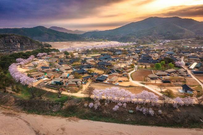 안동 하회마을의 봄. 사진=한국관광공사