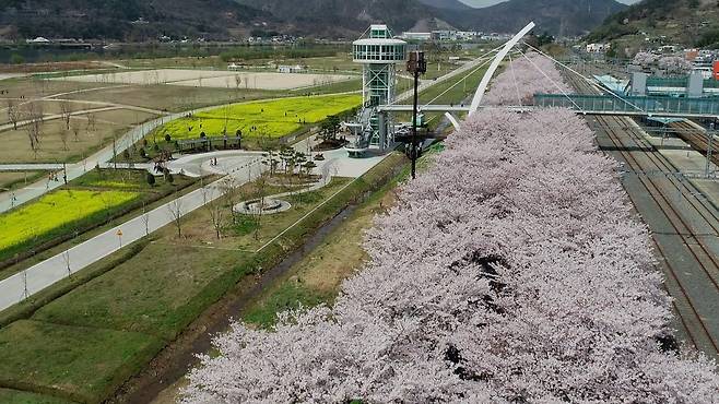 양산 황산공원  [양산시 제공. 재판매 및 DB 금지]
