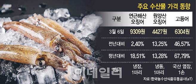 [이데일리 이미나 기자]