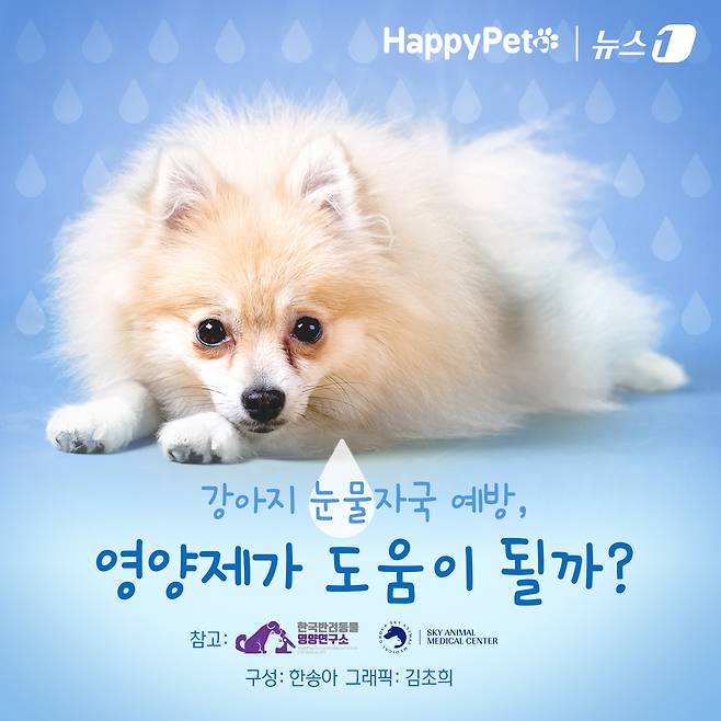 ⓒ News1 김초희 디자이너