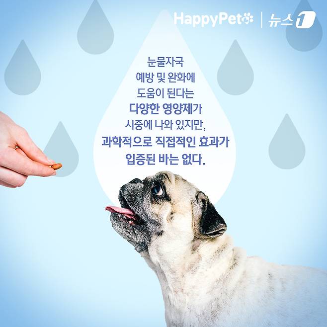 ⓒ News1 김초희 디자이너