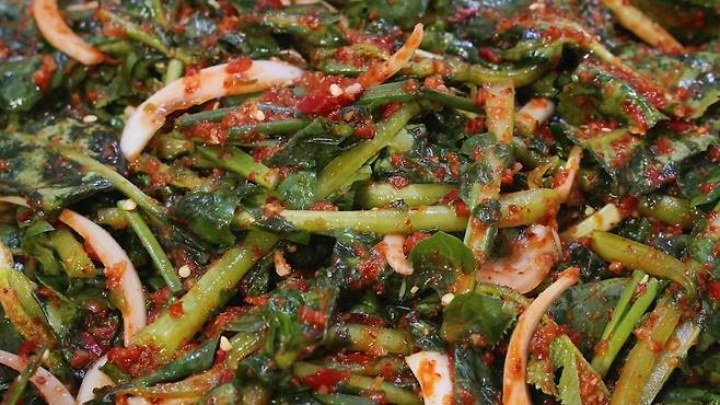 열무김치 레시피