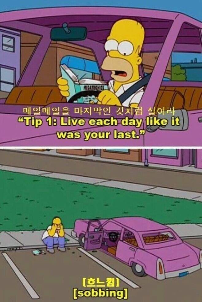 자기계발서를 읽은 호머심슨...jpg.