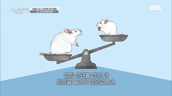 굶는 다이어트가 살찌는 이유.