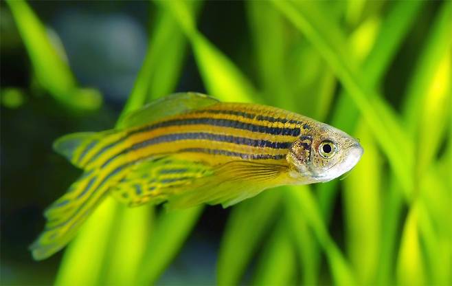 게티이미지뱅크 제공