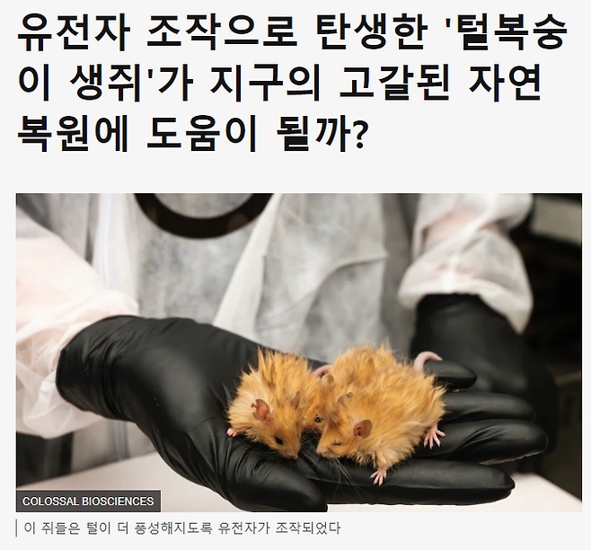 000.png 새로운품종 털복숭이쥐