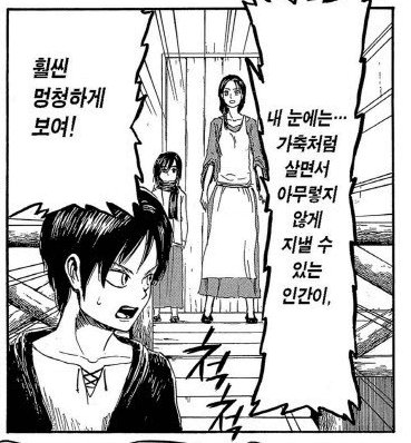 진격의 거인 본...