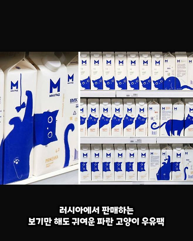 z2_zzal_20250302_p_3579211200170870862_7_3579096930309497785.jpg 엄청 잘만들고 귀여운 생활 제품 디자인