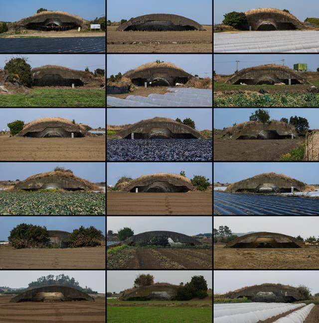 알뜨르 비행장 일대에 남아 있는 전투기 엄체호(격납고) 모습. 이들 중 10기는 국가등록문화재로 관리되고 있다. 서귀포=하상윤 기자