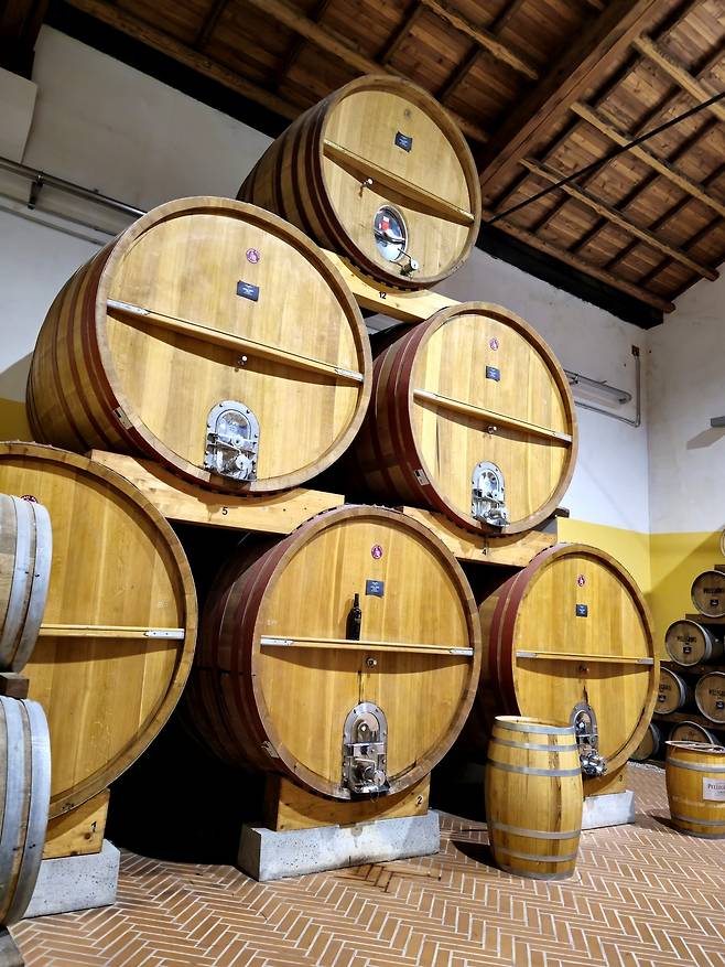 펠레그리노 솔레라 숙성. 최현태 기자