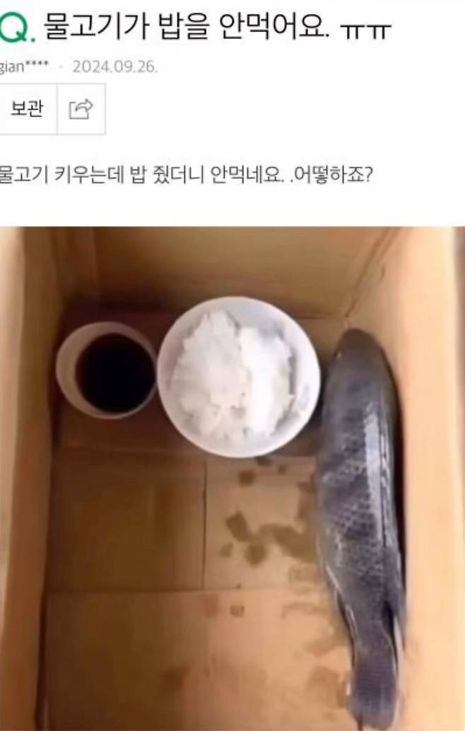 물고기가 밥을 안먹어요