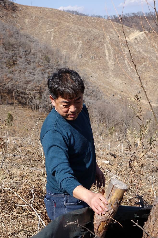 2025년 2월28일 경남 밀양 춘복산. 2년9개월 전인 2022년 5월 산불이 일어났다. 막대한 돈·인력이 투입돼 재개발식 벌채와 조림이 이뤄졌다. 여전히 황량한 모습이다. 윤상갑 기술사가 피해 현장을 확인하고 있다. 김양진 기자