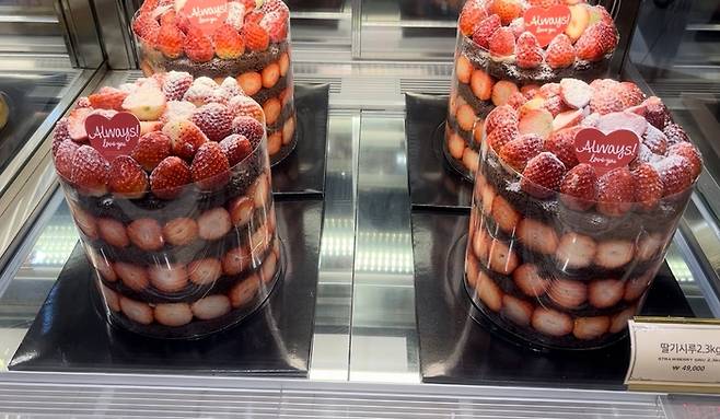 성심당 딸기시루 /사진=문서연 여행+ 기자