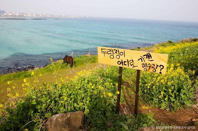 서우봉은 제주 함덕해수욕장 인근 기생화산이다. /사진=한국관광공사
