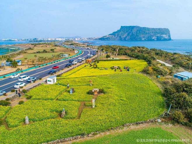 성산유채꽃재배단지는 성산일출봉과 바다, 유채꽃을 한번에 만나볼 수 있다. /사진=한국관광공사