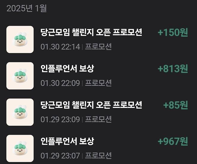 당근 인플루언서 보상 받은 후기 사진 /사진=온라인 커뮤니티 캡처