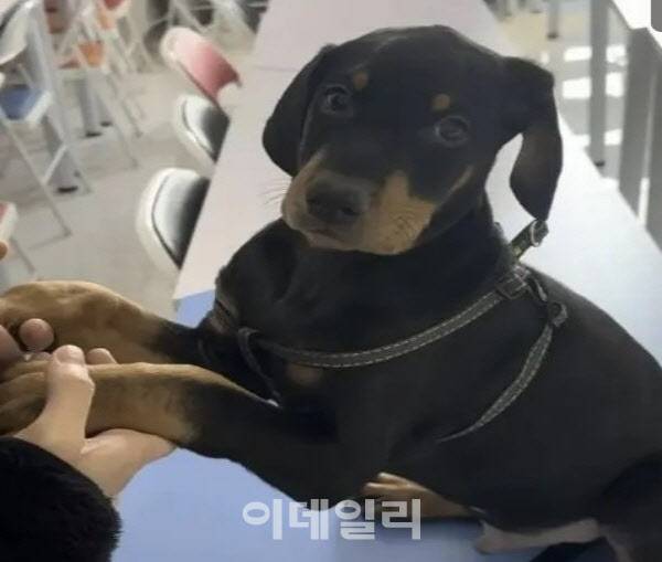 사진=사우스차이나모닝포스트 캡처