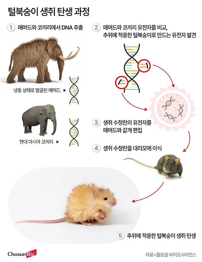 그래픽=정서희