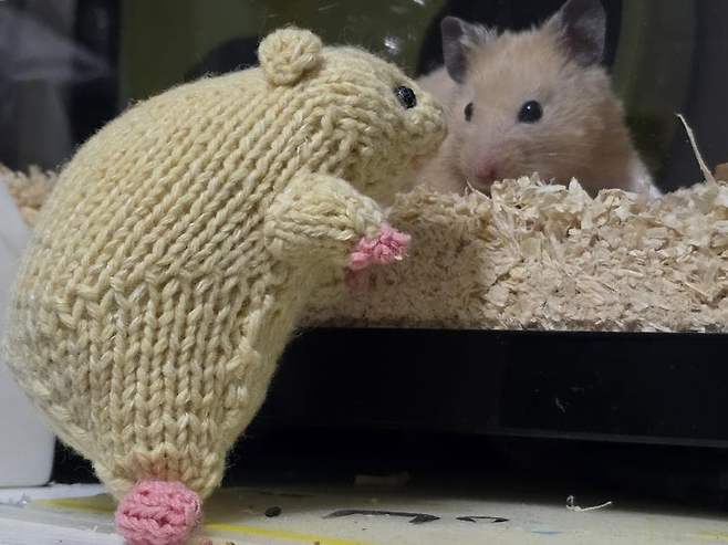 06bcdb27eae639aa658084e54484746e3e649c5241ed4f89d4d34d88774e54ebadf4dcb61a2b9bc6ee0237a5cd