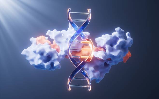 DNA의 네 가지 염기 서열(G, A, C, T)의 순서 교정을 통해 돌연변이 유전자를 정상으로 돌려놓은 유전자편집 치료법을 시험한 결과 DNA 서열이 원상회복돼 정상적으로 기능한 것이 확인됐다. [사진=클립아트코리아]