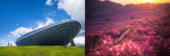 대구 달성 디아크와 비슬산 참꽃 풍경(왼쪽부터) [사진=달성군]