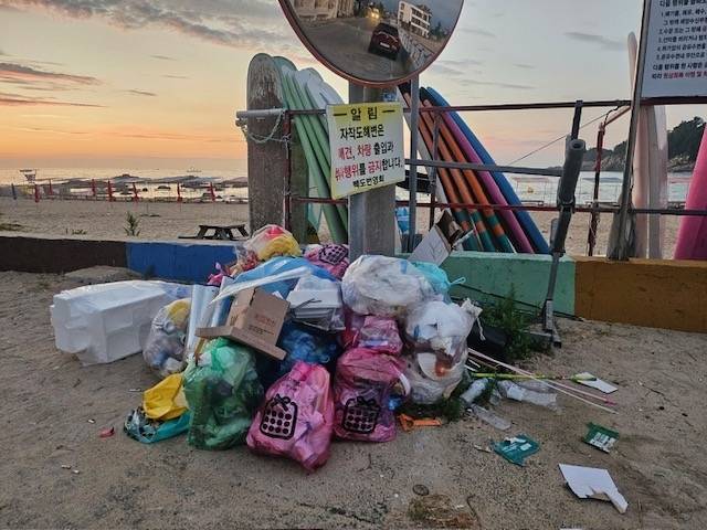 해수욕장 쓰레기[이지영 강원자치도의원 제공]