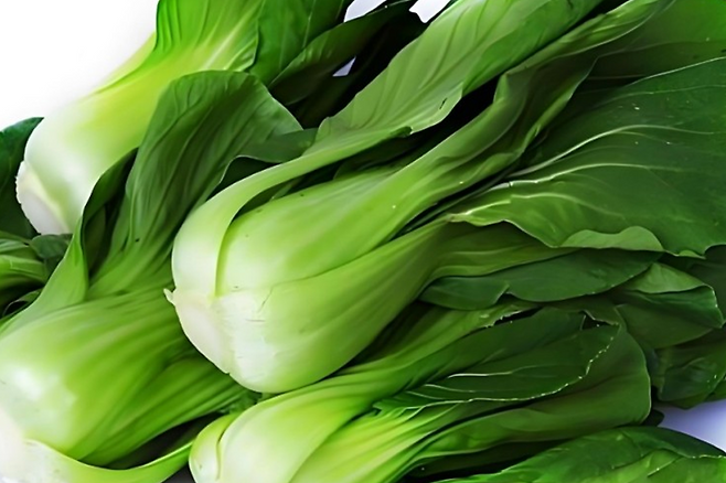 청경채