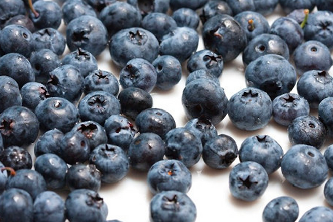 블루베리
