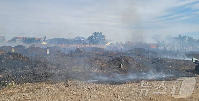 14일 제주 서귀포시 중문고등학교 인근 공동묘지에서 화재가 발생해 소방당국이 진화 중이다.(제주도소방안전본부 제공. 재판매 및 DB 금지)