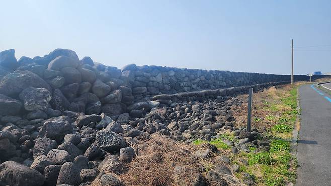 제주특별자치도 서귀포시 성산읍 온평리에 남아 있는 환해장성 유적. /유석재 기자