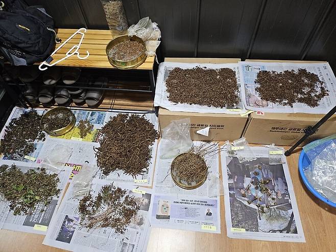 지리산 세석평전 인근에서 수집한 식물 종자들.