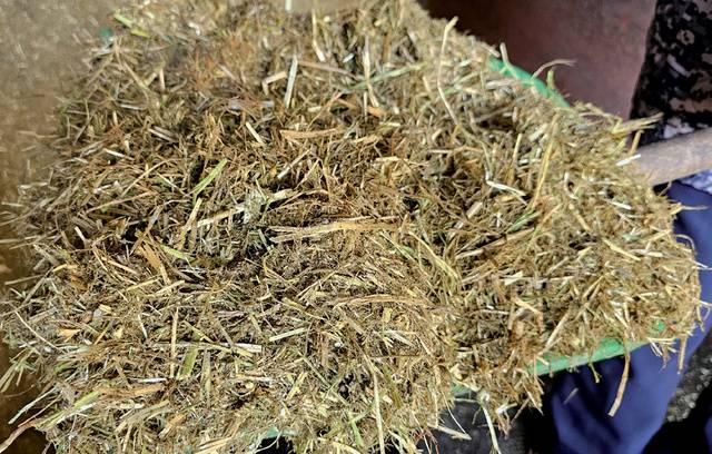 오금열 대표는 매일 자가 TMR을 생산해 급여한다. 베이스사료에 자가 생산한 조사료와 생균제 등을 배합해 준다.