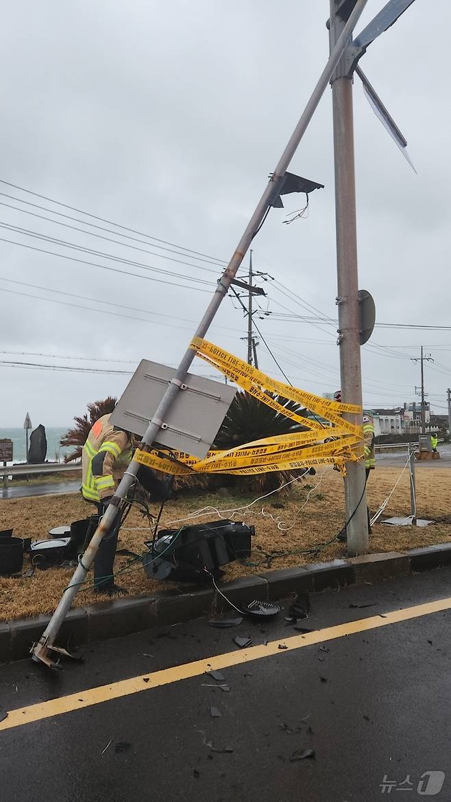 15일 오전 제주시 구좌읍 동복교차로 인근 신호등이 강풍에 쓰러져 소방이 안전 조치를 하고 있다. (제주소방안전본부 제공. 재판매 및 DB 금지)