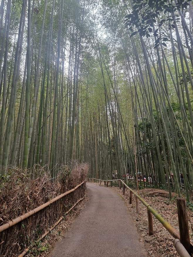 3fb8c32fffd711ab6fb8d38a4488766dbaed77360328fdf197623dfc365f4c141df4b454bf29ffc832813a9d3b