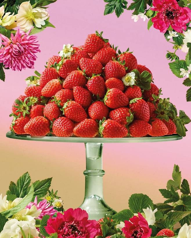 애슐리퀸즈, '생딸기 바스켓' 이미지/ 이랜드이츠 제공