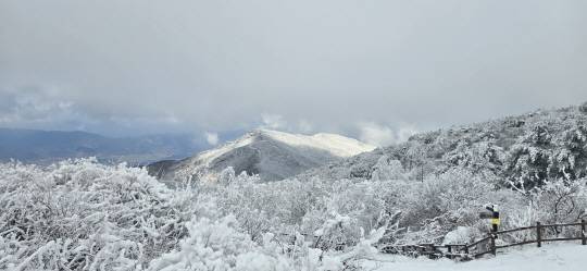 지난 6일 오전 전남 구례군 토지면 지리산국립공원 노고단 일대의 설경. 연합뉴스