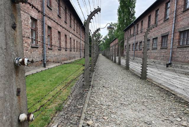 ▲ 아우슈비츠 수용소 철조망. 탈출자를 막으려고 고압 전기를 흘렸다. ⓒ김재명