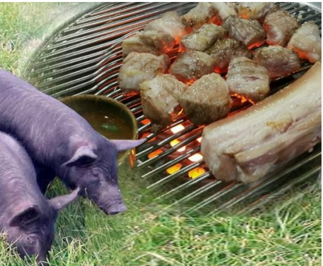 연합뉴스 자료사진