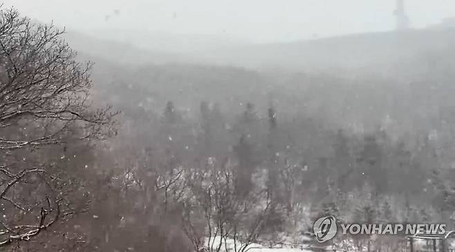 3월에 눈 내리는 지리산 노고단 (구례=연합뉴스) 15일 오전 전남 구례군 지리산국립공원 노고단 일대에 시간당 1㎝가량 눈이 쌓였다. 기상청은 이날 구례군에 대설주의보를 발효했다. 2025.3.15 [지리산국립공원 전남사무소 제공. 재판매 및 DB 금지] pch80@yna.co.kr