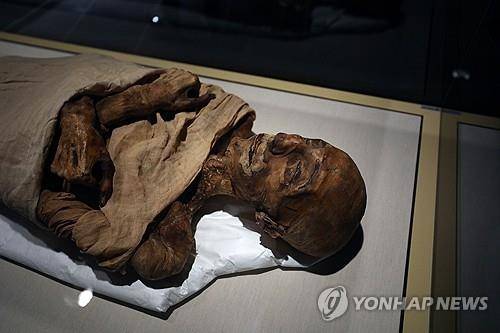 이집트 카이로 국립 박물관에 전시 중인 고대 이집트 미라 [EPA 연합뉴스 자료사진]