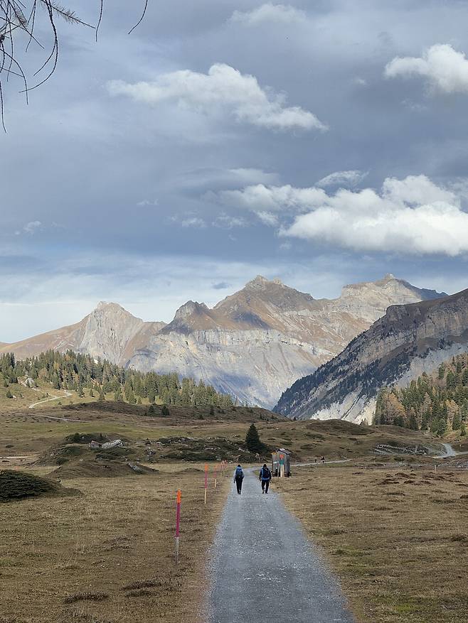 겜미 패스 트레킹.