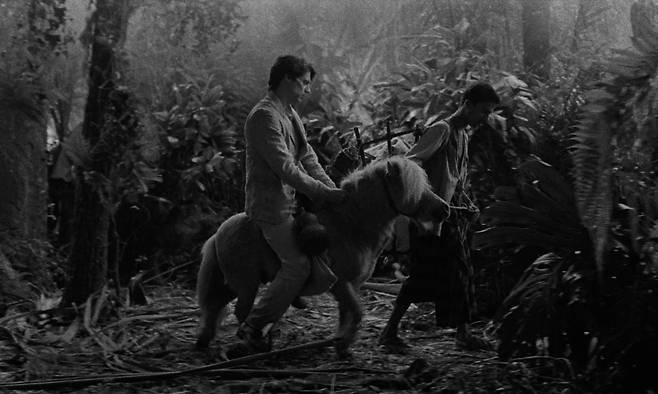 영화 '그랜드 투어' [ⓒUma Pedra No Sapato, Vivo film, Shellac Sud, Cinema Defacto_Studio. 엠엔엠인터내셔널 제공. 재판매 및 DB금지]