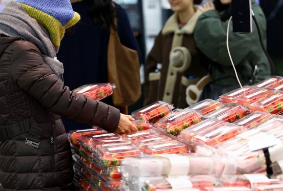 한 대형 마트에서 시민이 딸기를 고르고 있다. 2025.02.21. 뉴시스