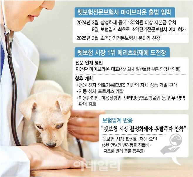 [그래픽=이데일리 김정훈 기자]