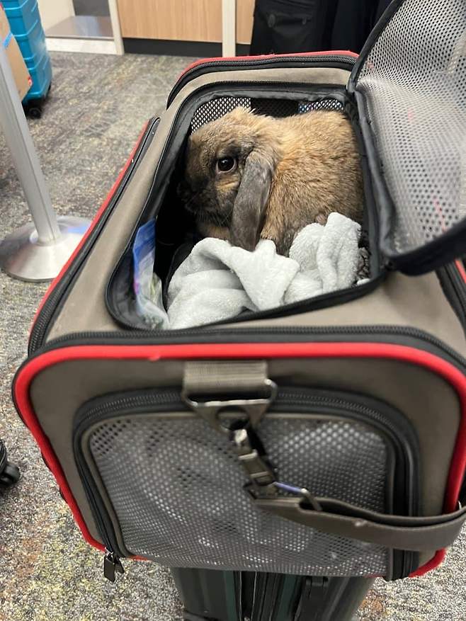 7ceb8603b18160ff23e98593479c706e2cf2fb3088be5739f410932d8ad575932636095a69cef22aefbaaddaba37f5f861e5d2db