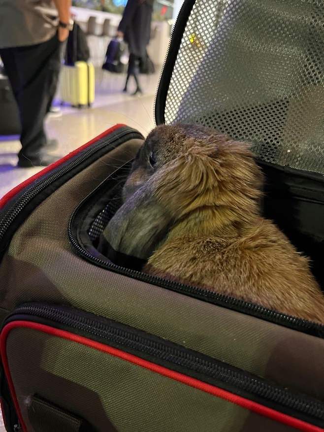 799ef576c18469ff23ef80e1419c706ccf13c151e10098c37be6bfb2c9d5e40629eaaa87e23ed512d52292e6312e50897c74f85d