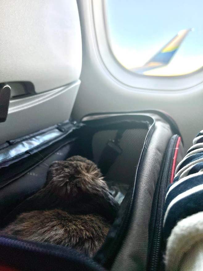 0fe48200bc821df723e787e2419c7018bd01a2556d8b9edb2a4cf8b6f2be25a0f8549c4d9391c023fab040b73a5f5e6fb3991463